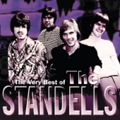 THE STANDELLS - Why Pick On Me
