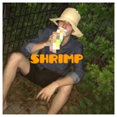 SHRIMP - EP artwork
