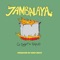 Jambalaya (feat. Skales) - Qswyft lyrics