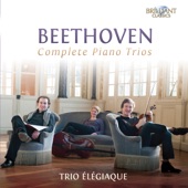 Piano Trio in E-Flat Major, Op. 38, After the Septet, Op. 20: I. Adagio - Allegro con brio artwork