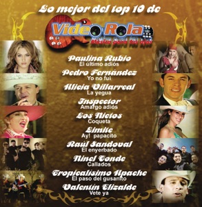 Lo Mejor del Top 10 de Video Rola