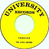 Forever by The Little Dippers