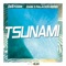 Tsunami - Destorm & Dani 3palacios lyrics