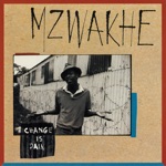 Mzwakhe Mbuli - Behind The Bars