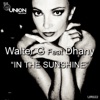 In the Sunshine (feat. Dhany) - Single