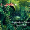 Soplo de la Vida: Medicine Songs