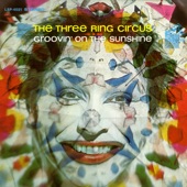 The Three Ring Circus - Groovin' On The Sunshine
