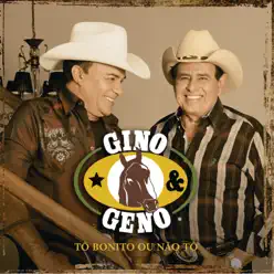 Tô Bonito Ou Não Tô - Gino e Geno