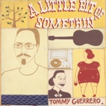 Tommy Guerrero - It's Raining Again