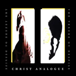 The Texture Ov Despise - Christ Analogue