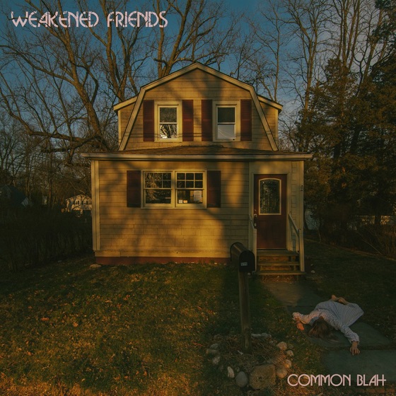 Cover artwork for Peel