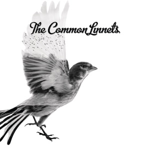 The Common Linnets - Christmas Around Me - 排舞 音乐