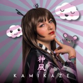 Kamikaze artwork