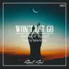 Won't Let Go - Single album lyrics, reviews, download