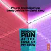 Stream & download Window Pain at the Edge of My View (feat. David Grey) - Single