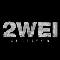 2WEI - Survivor artwork