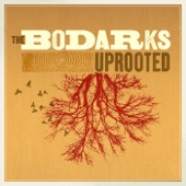 The Bodarks - Caroline