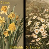 Daffodils & Daisies artwork