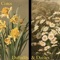 Daffodils & Daisies artwork