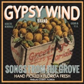 Gypsy Wind - Swamp Boy Blues