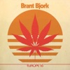 Brant Bjork - Low Desert Punk (Live)