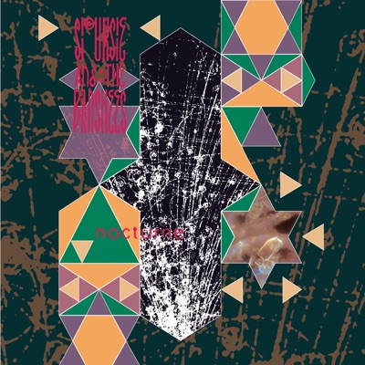 Nocturne (Remastered) - Siouxsie and The Banshees