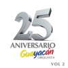 25 Aniversario, Vol. 2