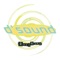 Real Name - D'Sound lyrics