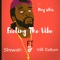 I'm Feeling the Vibe (feat. Shiwan & Will Kellum) - King Silxs lyrics