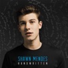 Shawn Mendes - Imagination