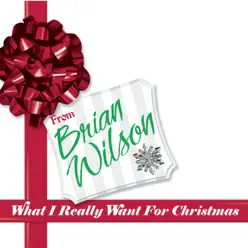 What I Really Want For Christmas - Brian Wilson