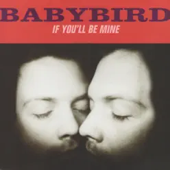 If You'll Be Mine - Single - Babybird