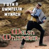 Y Dyn o Gwmfelin Mynach