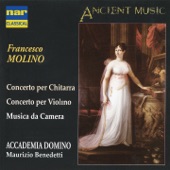 Concerto per violino e orchestra No. 2, Op. 25: I. Allegro maestoso artwork