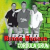 Cordula Grün - Single