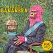 Revolución Bananera artwork