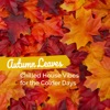 Autumn Leaves: Chilled House Vibes for the Colder Days, 2018