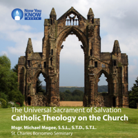Msgr. Michael Magee SSL STD STL - The Universal Sacrament of Salvation: Catholic Theology on the Church artwork