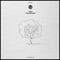 Treeanoides - Indio lyrics