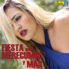 Fiesta con Merecumbé y Más