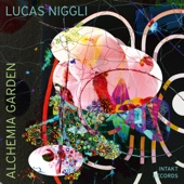 Lucas Niggli - Welwitschia