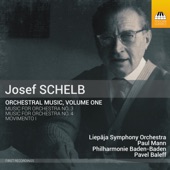 Schelb: Orchestral Music, Vol. 1 artwork