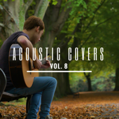 Acoustic Covers, Vol. 8 - James Bartholomew