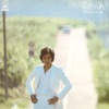岸田 智史 - ほおずきの季節