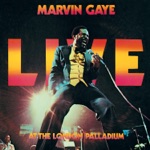 Marvin Gaye - Distant Lover