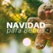 Canciones de Navidad - Aldonza Navidena lyrics