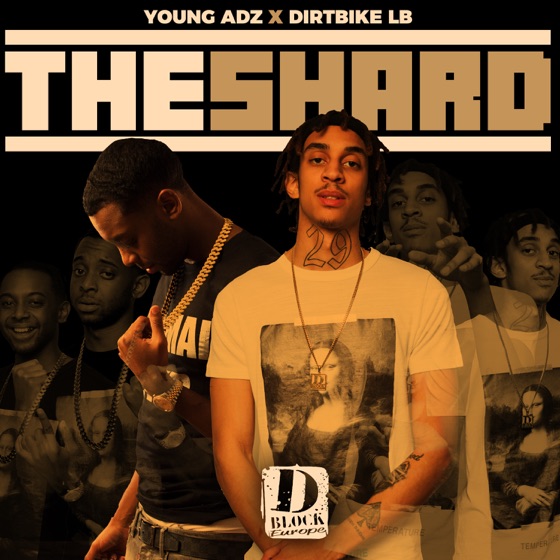 Cover artwork for The Shard