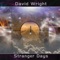 Stranger Days Pt. 3 (feat. David Wright) artwork