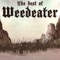Jason the Dragon - Weedeater lyrics