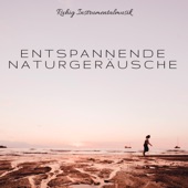 Entspannende Naturgeräusche: Ruhig Instrumentalmusik für Yoga und Meditation, Weißes Rauschen, Heilung Lieder für Schlaftherapie artwork